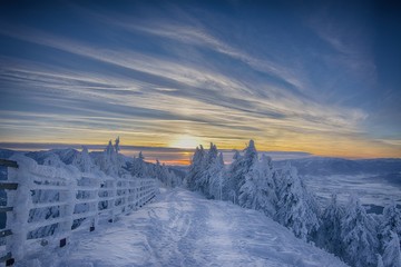 Sunset in winter forest