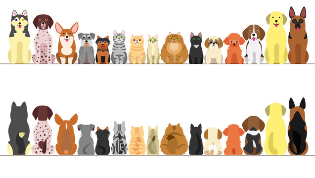 large and small dogs and cats banner set, front view and rear view
