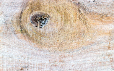 Fototapeta premium Wood Wall For text and background