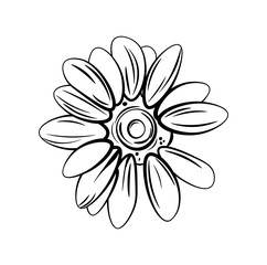 beautiful monochrome black and white flower isolated on white background.