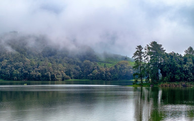 Beautiful scenery of huge lake, with trees, and mist create calming atmosphere. In the middle of the lake, there also a little boat exploring the lake