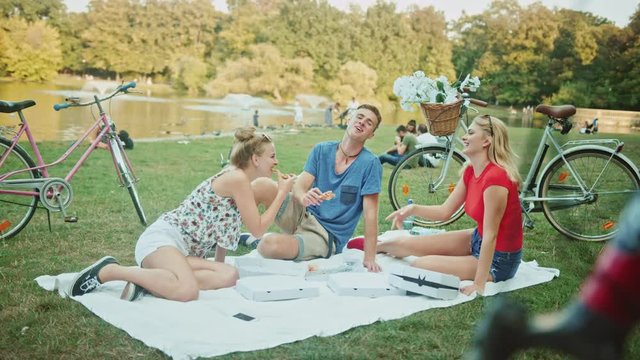 Cheerful friends having a picnic