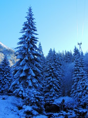 Blue winter mountain