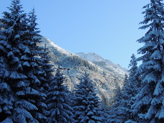 Winter mountain