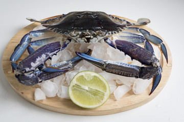 frash blue swimmer crab on wooden plate with ice