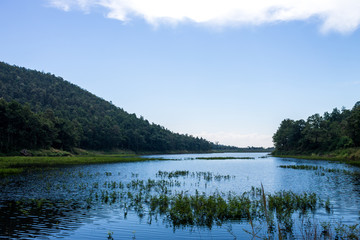 Fototapeta na wymiar Reserved water at NamJo pond