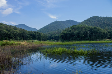 Reserved water at NamJo pond