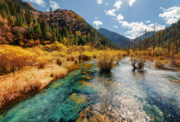 Scenic river with crystal water among fall woods and mountains