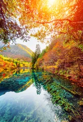 Fotobehang Het Five Flower Lake tussen de herfstbossen, het natuurreservaat Jiuzhaigou © efired