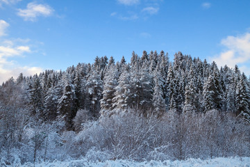 winter landscape