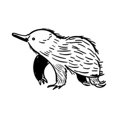 Australian animal Echidna in doodle style. Vector illustration.
