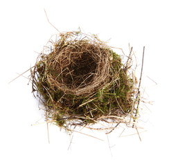 Empty nest isolated on white