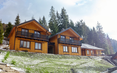 Fototapeta premium Winter in the mountains and coniferous forest
