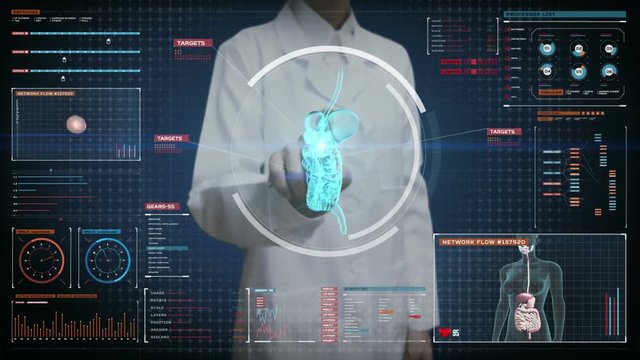 Female doctor touching digital screen, Zooming body scanning internal organs, Digestion system in digital display.Blue X-ray view. 