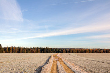 Road through field and forest under blue sky