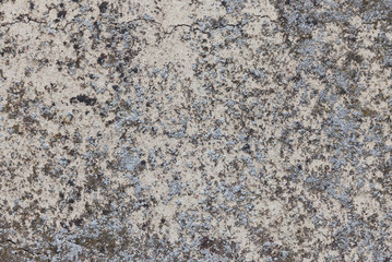 background texture shot