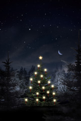 Fototapeta premium Weihnachtsbaum mit Kerzen