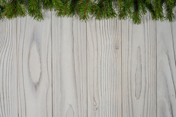 Green spruce branches on white wooden background.