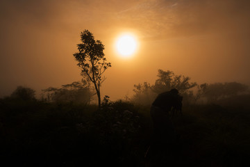 photographer takes photos the first rays of the rising sun on Mountain. Dreamy fogy landscape, spring orange pink misty sunrise
