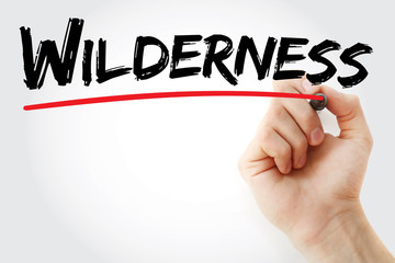 Hand writing Wilderness with marker, concept background