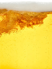 beer closeup alcohol drink beverage