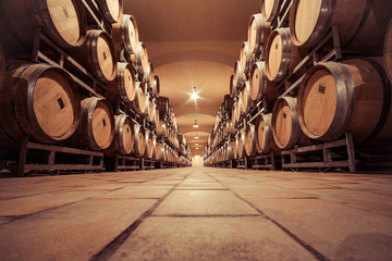 Wine oak barrell in cellar