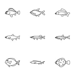 Marine fish icons set. Outline illustration of 9 marine fish vector icons for web