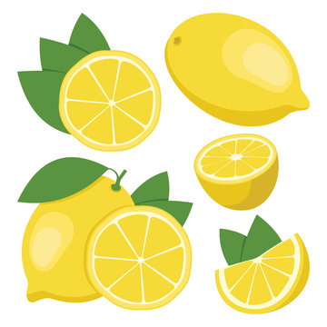 Lemon. Collection of whole and sliced lemon fruits. Vector illus