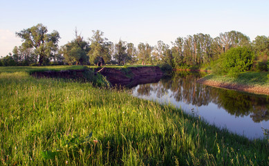 Obraz premium summer landscape