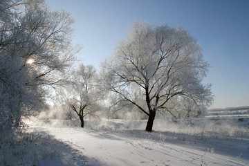 winter landscape
