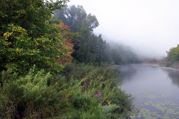 thick fog on the river