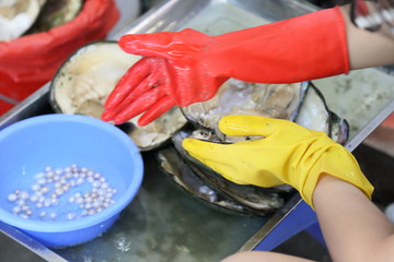 The workers take the Pearl from the shell
