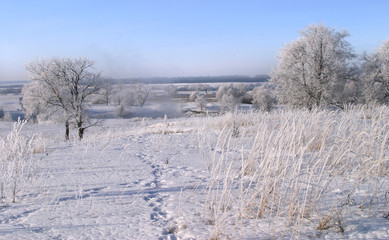 winter landscape
