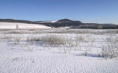 winter landscape