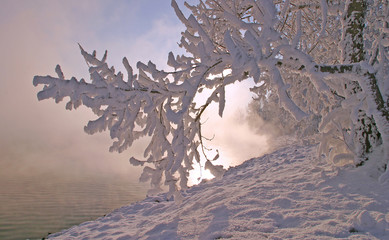 frosty misty morning on the winter river
