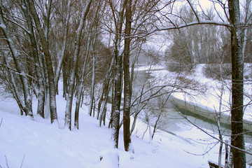 Winter on the river