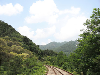 Rail Park with tree