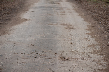 abandoned country road