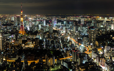 Fototapeta na wymiar Tokyo nightscape