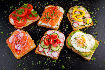 Variety of vegetarian toast sandwiches with salmon, raddish, tomatoes, cucumber, avocado,fried egg and sweet pepper