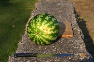 watermelon ready for consumption