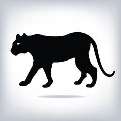 Vector image of an tiger