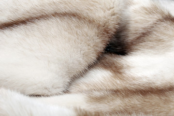 Obraz premium fur mink