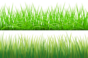 2 Backgrounds Of Green Grass, Isolated On White Background, Vector Illustration