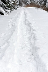 Footsteps in the snow