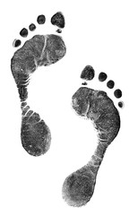 Black prints of feet on calque paper. Black footprint. Isolated on white.
