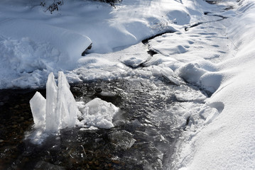 Frozen ice crystals among a small river