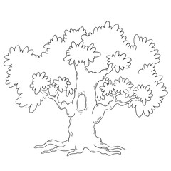 Tree coloring book. Cartoon tree circuit. Vector