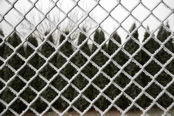 Frosted wire fence in Winter