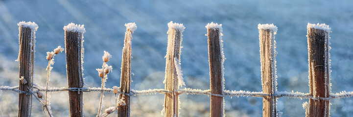 Paling Fence With Hoar Frost